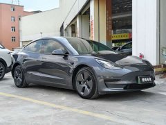 Tesla Model 3 2021 standard range rear drive upgraded version 3D6 - фото 6
