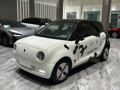Lynk & Co Euler Black Cat 301km basic - фото 1