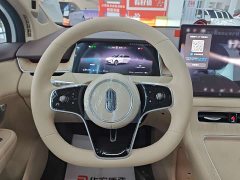BYD Shangjie H5 2025 Extended Range Pro - фото 6