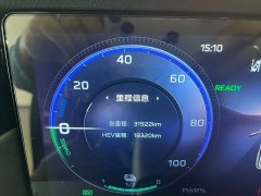Hongqi HS7 PHEV 2.0T PHEV four-wheel drive Qichang version 6 seats - фото 12