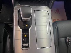 Hongqi HS7 PHEV 2.0T PHEV four-wheel drive Qichang version 6 seats - фото 18