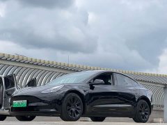 Tesla Model 3 2022 rear-wheel drive version - фото 2