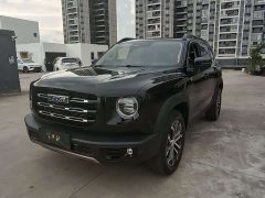 Haval Big Dog 1.5T DCT two-wheel drive Border Collie version - фото 1