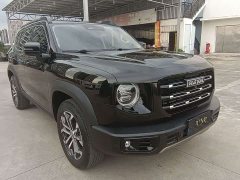 Haval Big Dog 1.5T DCT two-wheel drive Border Collie version - фото 3