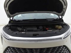 BYD Century 2.0T seven-seat Yuanshi Edition - фото 12
