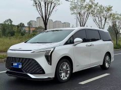 BYD Century 2.0T seven-seat Yuanshi Edition - фото 13