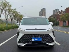 BYD Century 2.0T seven-seat Yuanshi Edition - фото 14