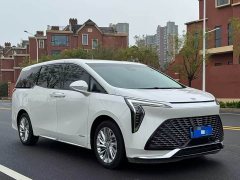 BYD Century 2.0T seven-seat Yuanshi Edition - фото 15
