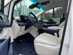 BYD Century 2.0T seven-seat Yuanshi Edition - фото 16