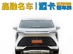 BYD Century 2.0T seven-seat Yuanshi Edition - фото 2