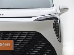 BYD Century 2.0T seven-seat Yuanshi Edition - фото 3