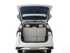 BYD Century 2.0T seven-seat Yuanshi Edition - фото 4