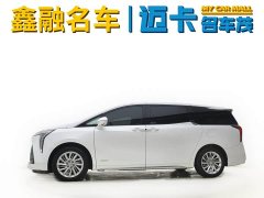 BYD Century 2.0T seven-seat Yuanshi Edition - фото 6