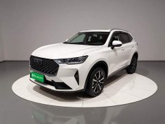 Haval H6 2021 third generation 1.5T automatic two-wheel drive Pro - фото 1