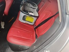 Xpeng P7 670G - фото 13