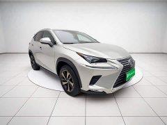 Lexus NX 2020 300h front-wheel drive Fengyue version National VI - фото 3