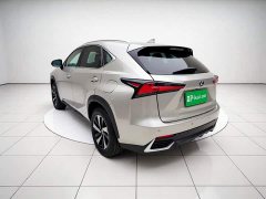 Lexus NX 2020 300h front-wheel drive Fengyue version National VI - фото 4