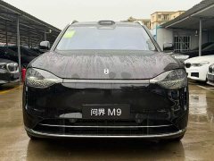 AITO Wenjie M9 2025 extended range Max version 52kWh 6-seater version (896-line lidar) - фото 2