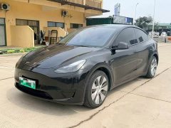 Tesla Model Y standard range rear-wheel drive version - фото 1