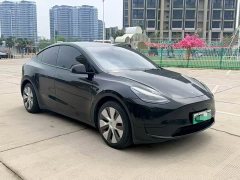 Tesla Model Y standard range rear-wheel drive version - фото 6