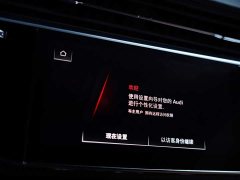 Audi RS Q8 RS Q8 4.0T - фото 12