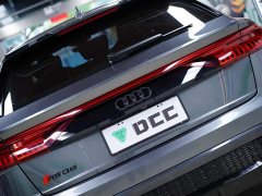 Audi RS Q8 RS Q8 4.0T - фото 9