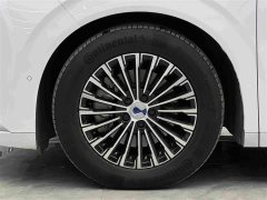 Denza D9 DM-i 970 four-wheel drive flagship - фото 4