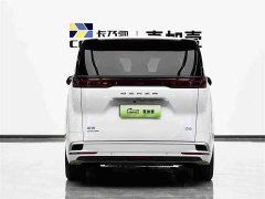 Denza D9 DM-i 970 four-wheel drive flagship - фото 5
