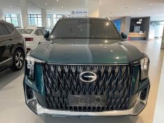 Trumpchi GS8 Dual Engine Series 2.0TM Two-wheel drive Premium Edition (seven seats) - фото 2