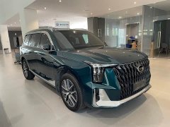 Trumpchi GS8 Dual Engine Series 2.0TM Two-wheel drive Premium Edition (seven seats) - фото 3
