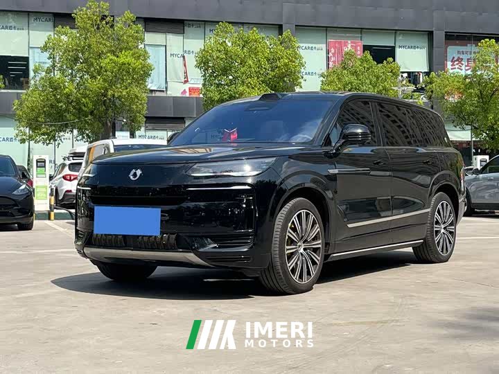 Denza N9 Honor Type - автомобиль из Китая