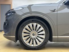 BMW Ledo L90 Max six-seater version - фото 16