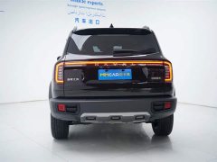 Haval Big Dog 2024 1.5T DCT Border Collie Edition - фото 11
