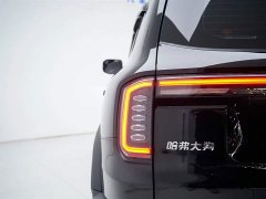 Haval Big Dog 2024 1.5T DCT Border Collie Edition - фото 13
