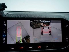 Haval Big Dog 2024 1.5T DCT Border Collie Edition - фото 20