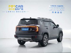 Haval Big Dog 2024 1.5T DCT Border Collie Edition - фото 3