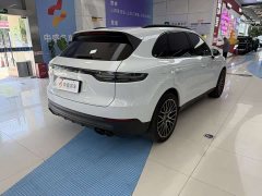 Porsche Cayenne 3.0T Platinum Edition - фото 6