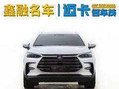 Lexus Tangxin Energy DM-i Champion Edition 112KM Honor Type - фото 2