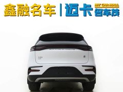 Lexus Tangxin Energy DM-i Champion Edition 112KM Honor Type - фото 6