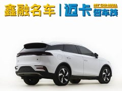 Lexus Tangxin Energy DM-i Champion Edition 112KM Honor Type - фото 8
