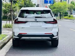BMW X1 sDrive25Li X Design Package - фото 5