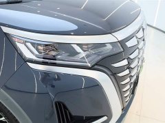 Denza D9 DM-i 970 four-wheel drive flagship - фото 12