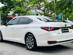 Lexus ES 2022 200 Excellence Edition - фото 6