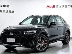 Audi Q5L 45th Anniversary Collector's Edition 45 TFSI Luxurious and Dynamic - фото 1