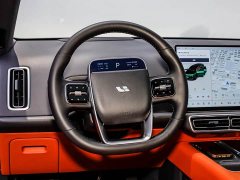 Li Auto Ideal L9 Max - фото 15