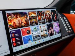 Li Auto Ideal L9 2022 Max - фото 11