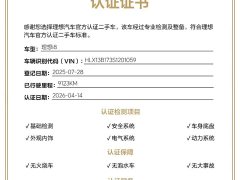 Li Auto Ideal i8 Standard Edition - фото 15