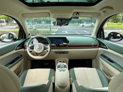 Lynk & Co Euler Good Cat 400km standard battery life premium type lithium iron phosphate - фото 7