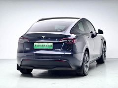Tesla Model Y 2024 rear-wheel drive version - фото 6