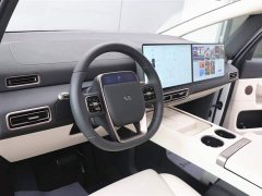 Li Auto Ideal MEGA Home Family Special Edition - фото 13